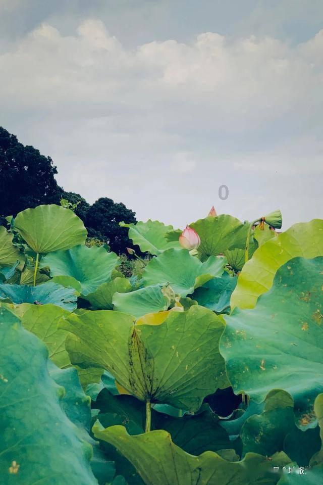制作魅力香水
