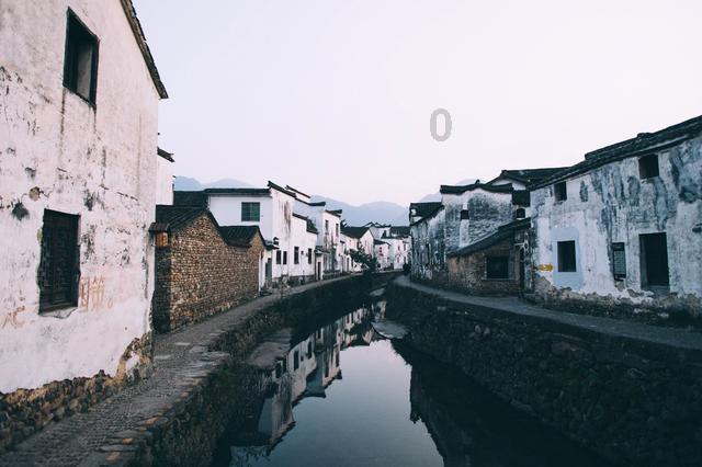 动物帮帮忙保卫家园